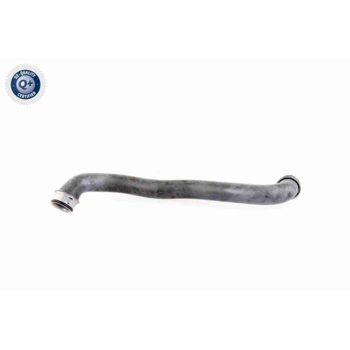 VAICO Kühlerschlauch Q+, Erstausrüsterqualität V30-1653