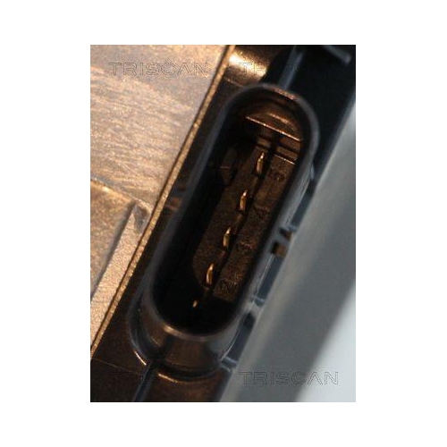 TRISCAN AGR-Ventil 8813 10031