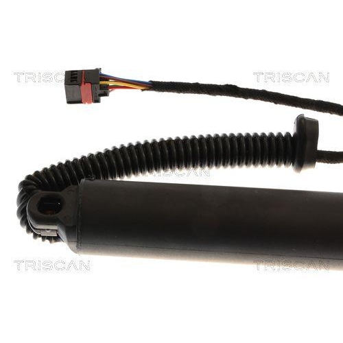 TRISCAN Gasfeder, Koffer-/Laderaum 8710 43313