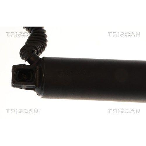 TRISCAN Gasfeder, Koffer-/Laderaum 8710 29340