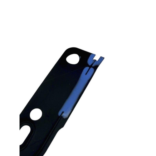 AUTLOG Dichtung, Steuerkettenspanner DI1024