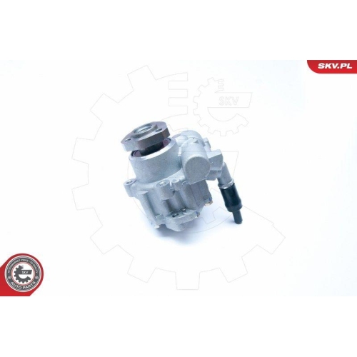 ESEN SKV Hydraulikpumpe, Lenkung