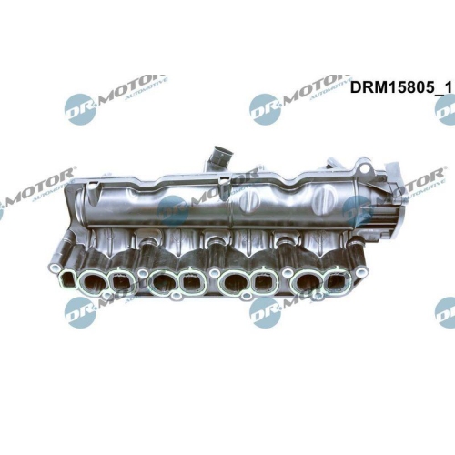 Dr.Motor Automotive Saugrohrmodul DRM15805