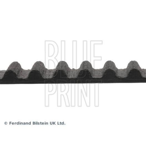 BLUE PRINT Zahnriemen ADH27519