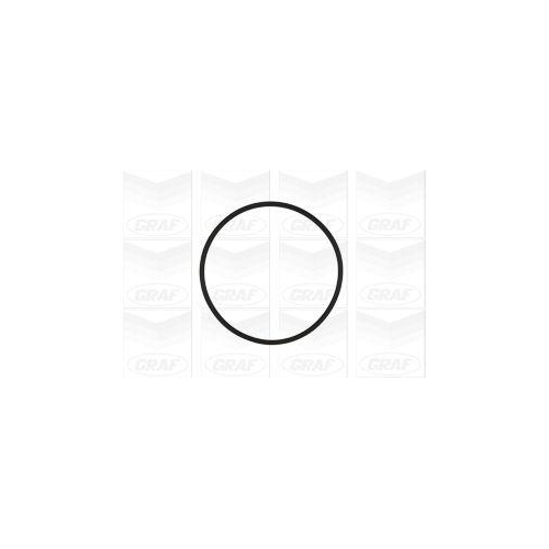 GRAF Wasserpumpe, Motork&uuml;hlung PA960