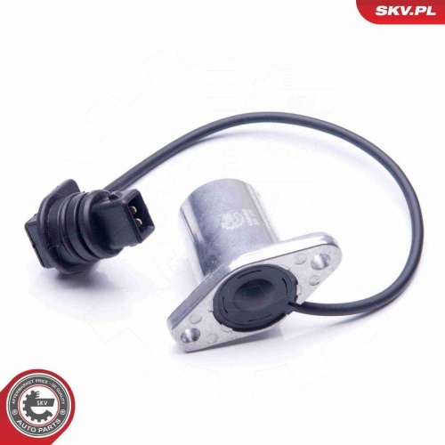 ESEN SKV Sensor, Motor&ouml;lstand 17SKV407