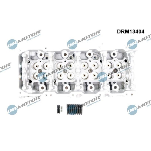 Dr.Motor Automotive Zylinderkopf DRM13404