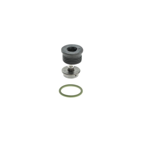 BOSCH Reparatursatz, Common-Rail-System F 00N 201 244