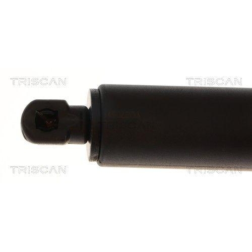 TRISCAN Gasfeder, Koffer-/Laderaum 8710 11144