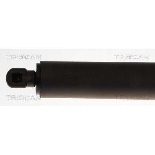 TRISCAN Gasfeder, Koffer-/Laderaum 8710 29344