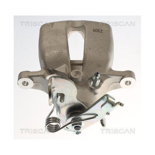 TRISCAN Bremssattel 8175 24253