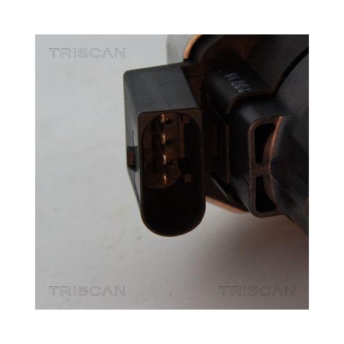 TRISCAN AGR-Ventil 8813 23016