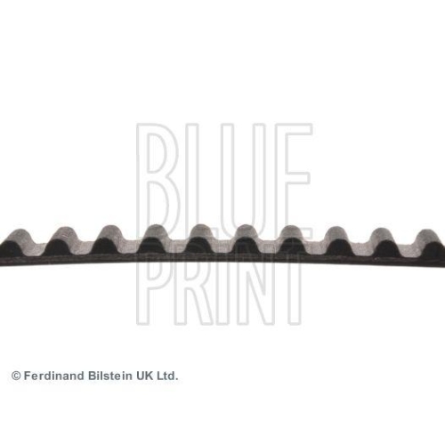BLUE PRINT Zahnriemen ADK87503
