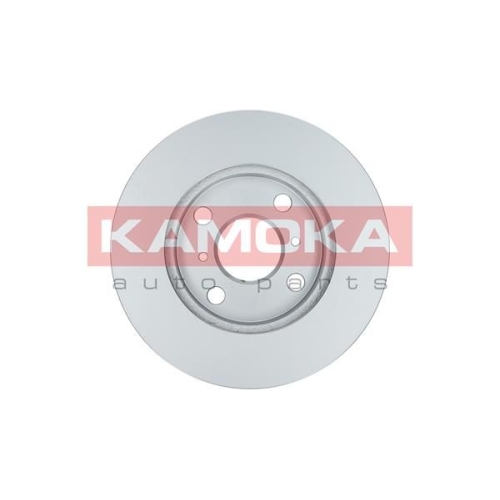 KAMOKA Bremsscheibe 1032168