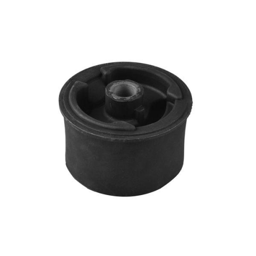 TEDGUM Lagerung, Motor