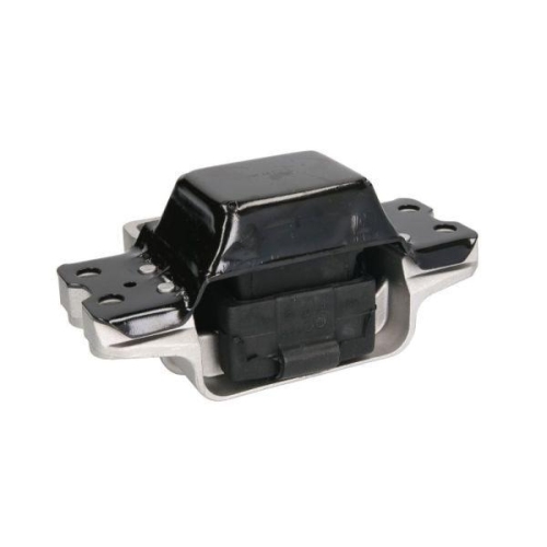 REINHOCH Lagerung, Motor RH11-0081