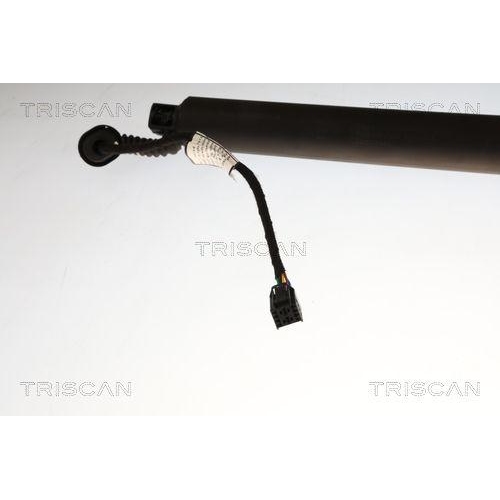 TRISCAN Gasfeder, Koffer-/Laderaum 8710 29332