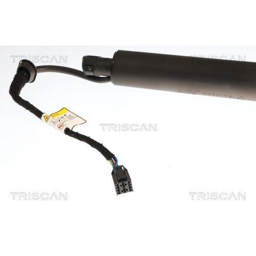 TRISCAN Gasfeder, Koffer-/Laderaum 8710 43317