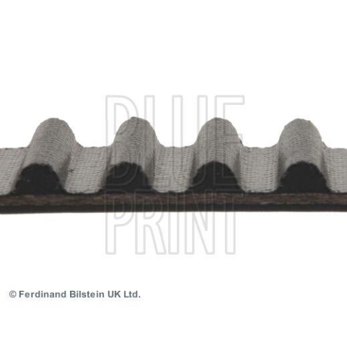 BLUE PRINT Zahnriemen