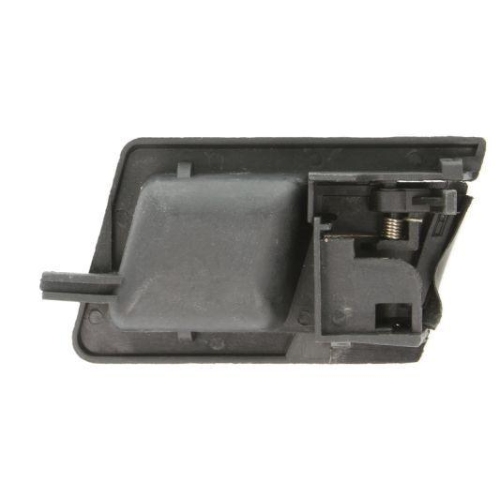 BLIC Türgriff, Innenausstattung 6010-01-013408P