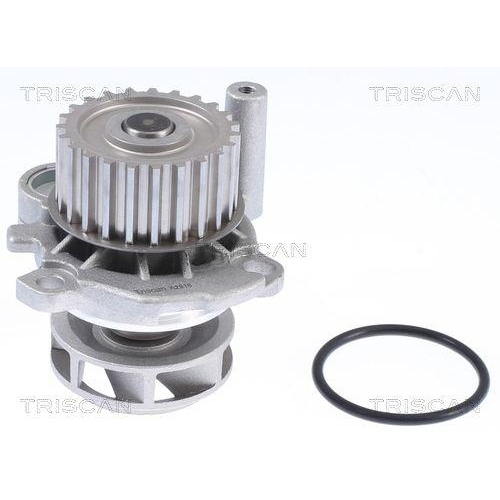 TRISCAN Wasserpumpe, Motork&uuml;hlung 8600 29012