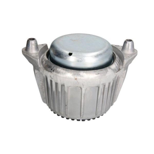 REINHOCH Lagerung, Motor RH11-3024