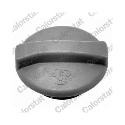 CALORSTAT by Vernet Ausgleichsbehälter, Kühlmittel ET0002C1