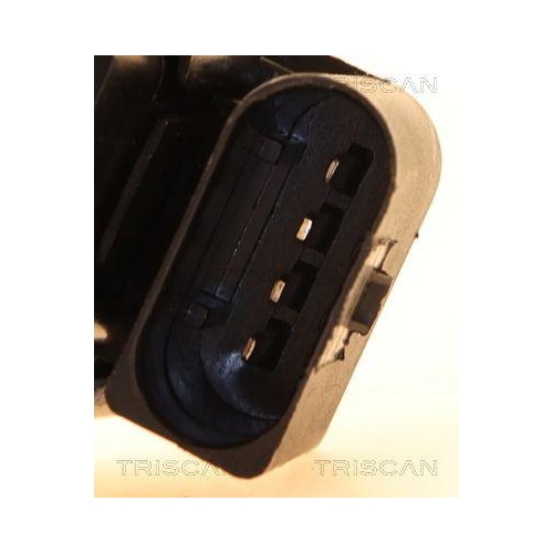 TRISCAN AGR-Ventil 8813 23101