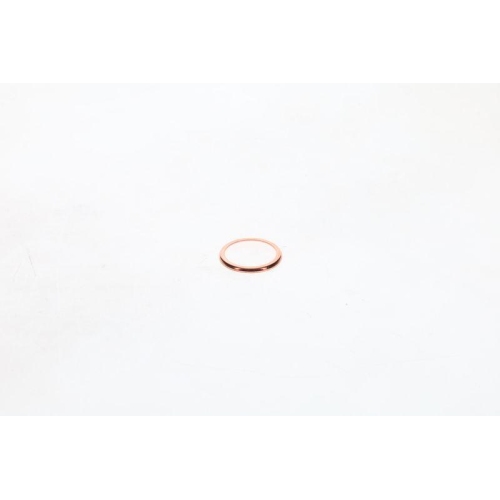 BOSCH Dichtung 1 420 211 005