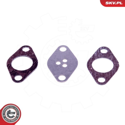 ESEN SKV Reparatursatz, AGR-Ventil 14SKV525