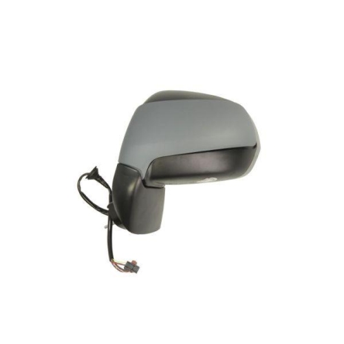 BLIC Au&szlig;enspiegel 5402-21-037369P