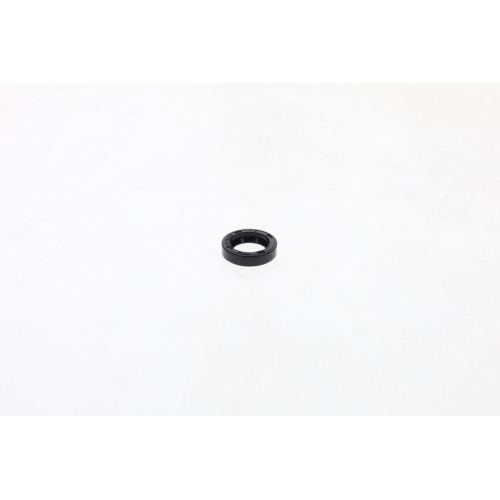 BOSCH Dichtung 1 420 283 001