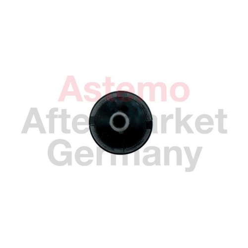 ASTEMO R&uuml;ckschlagventil 2509320