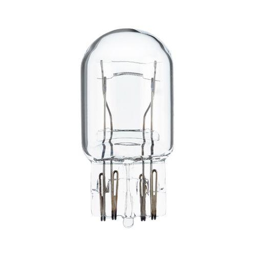 HELLA Gl&uuml;hlampe STANDARD 8GD 008 893-002