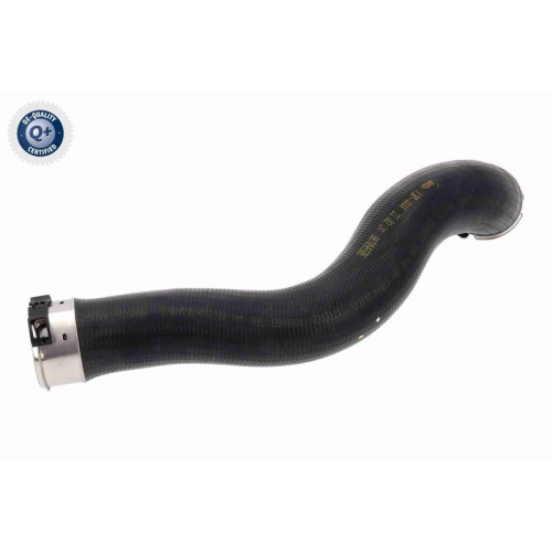 VAICO Ladeluftschlauch Q+, Erstausrüsterqualität V30-4444