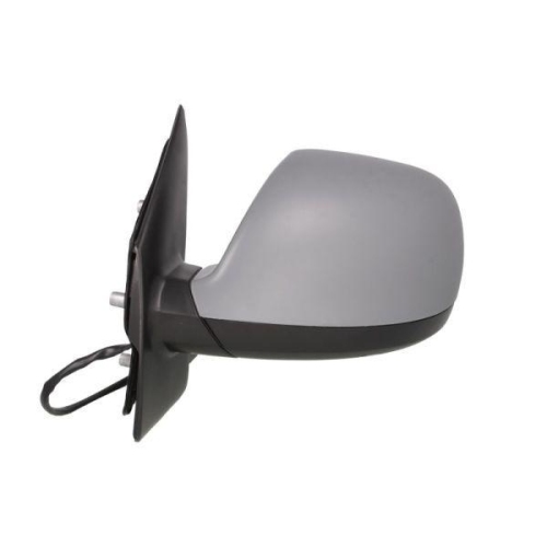 BLIC Außenspiegel 5402-01-2002665P