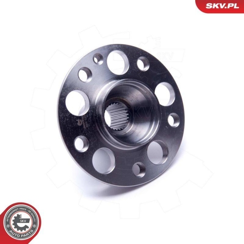 ESEN SKV Radlagersatz 29SKV504