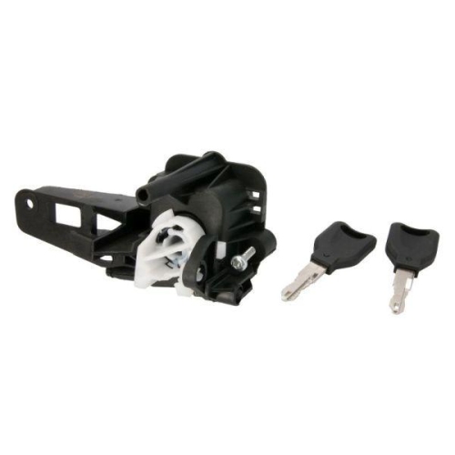 BLIC Kofferraumdeckelschloss 6010-09-030423P