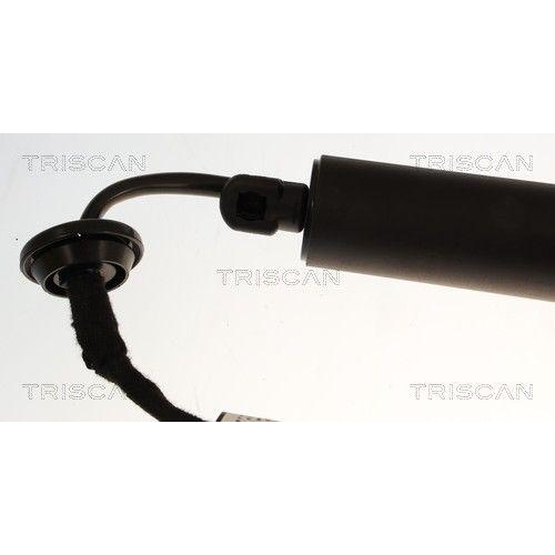 TRISCAN Gasfeder, Koffer-/Laderaum 8710 27319