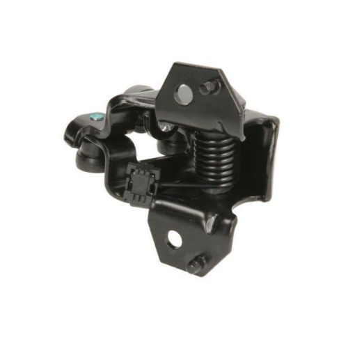 BLIC Rollenf&uuml;hrung, Schiebet&uuml;r 6003-00-0240P