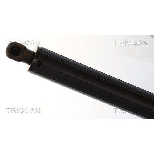 TRISCAN Gasfeder, Koffer-/Laderaum 8710 11145