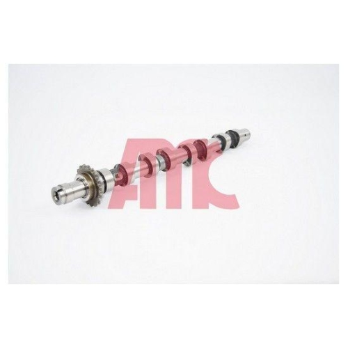 AMC Nockenwelle 647254