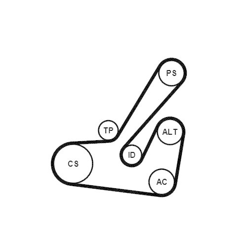 CONTINENTAL CTAM Keilrippenriemensatz 6PK1145K2