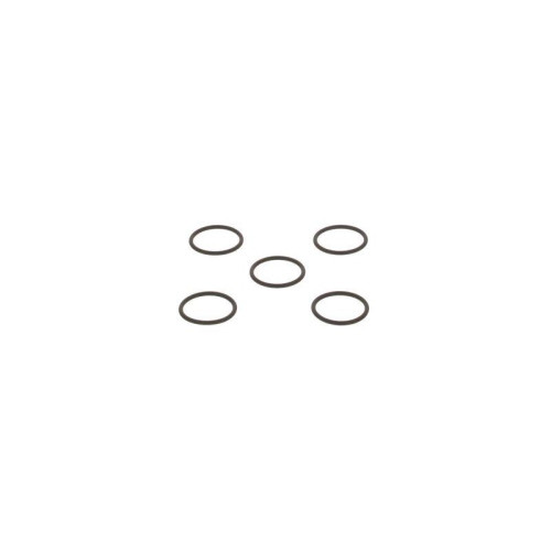 BOSCH Dichtring F 00R J01 878