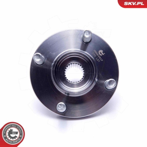 ESEN SKV Radlagersatz 29SKV517
