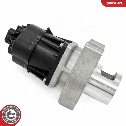 ESEN SKV AGR-Ventil 14SKV254