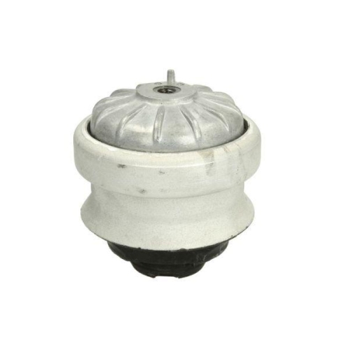 REINHOCH Lagerung, Motor RH11-3003
