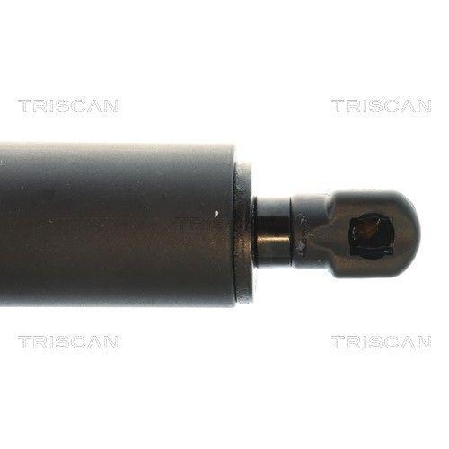 TRISCAN Gasfeder, Koffer-/Laderaum 8710 43314