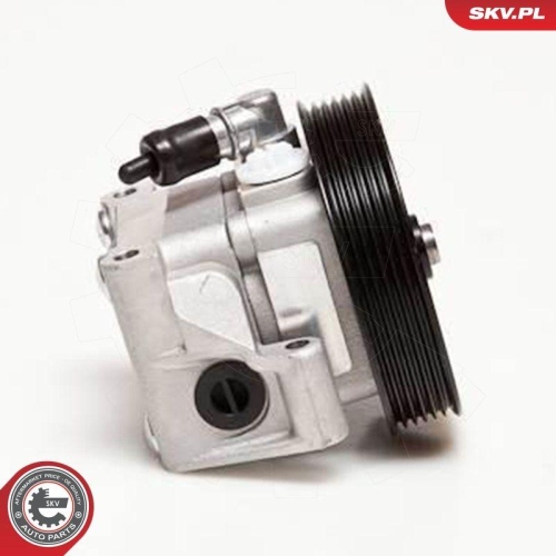 ESEN SKV Hydraulikpumpe, Lenkung 10SKV001