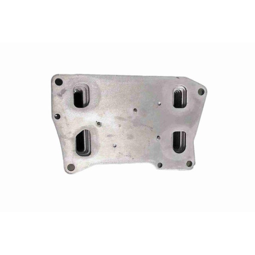 VEMO Ölkühler, Motoröl Original VEMO Qualität V30-60-0037